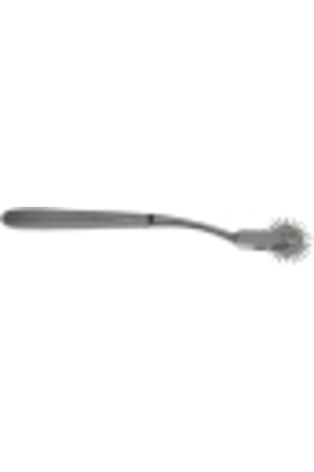Wartenberg Pinwheel