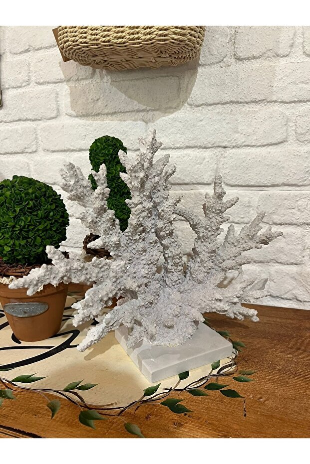 Mercan Resifler Ham Polyester - 3