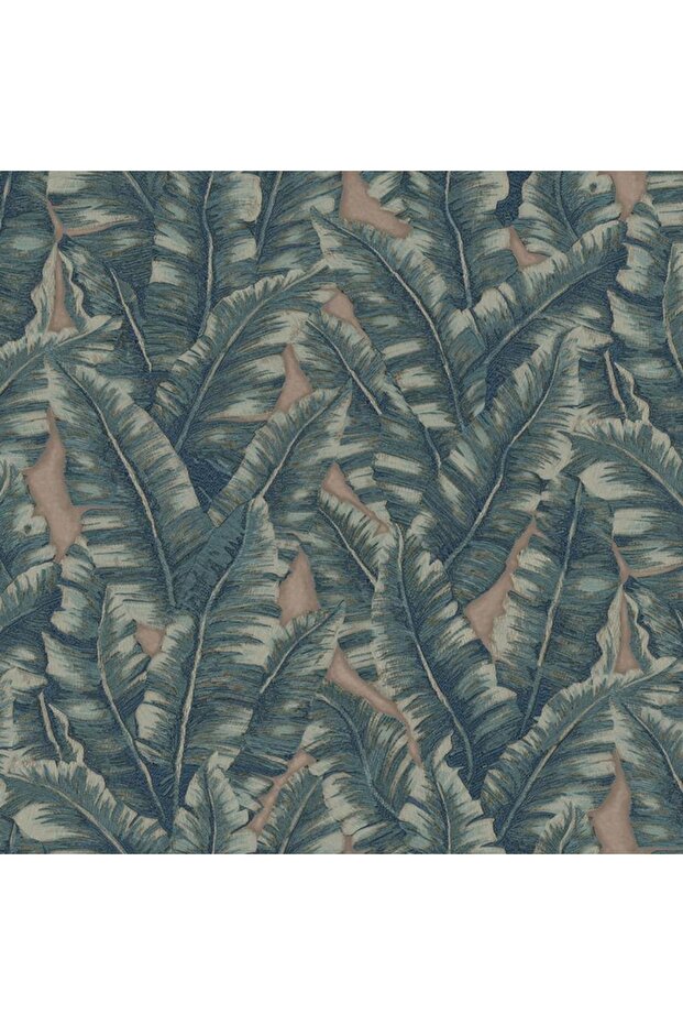 -vera Duvar Kağıdı - 1