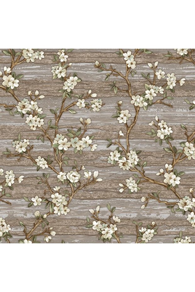 -vera Duvar Kağıdı - 1