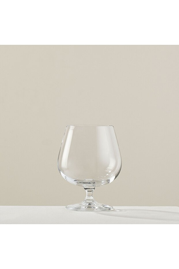 Sense Kadeh Standart - 2