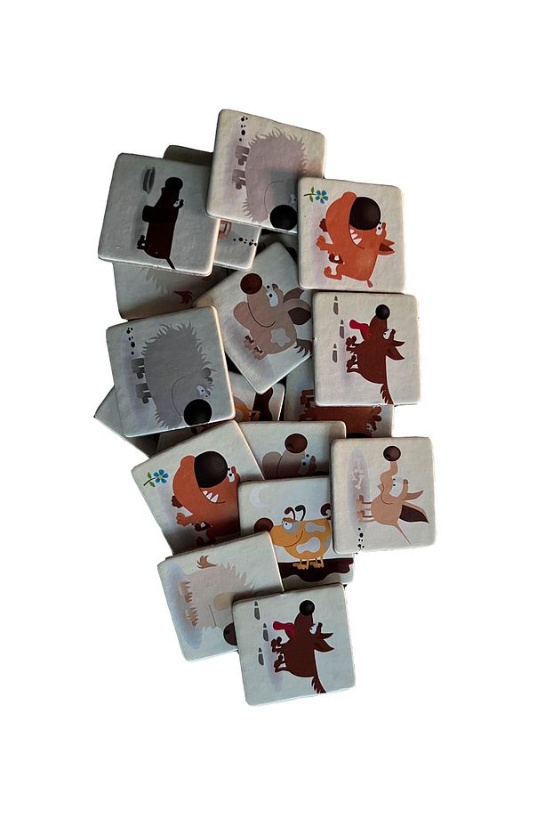 Matchingoo Eşleştirme Ve Hafiza Kartları : Kedicikler Ve Köpekcikler - 3