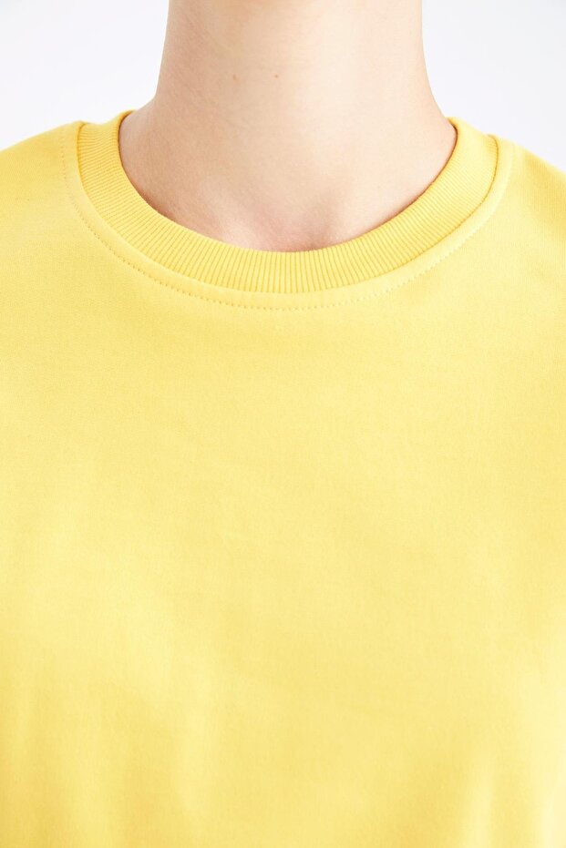 Φούτερ Regular Fit Crew Neck - 4