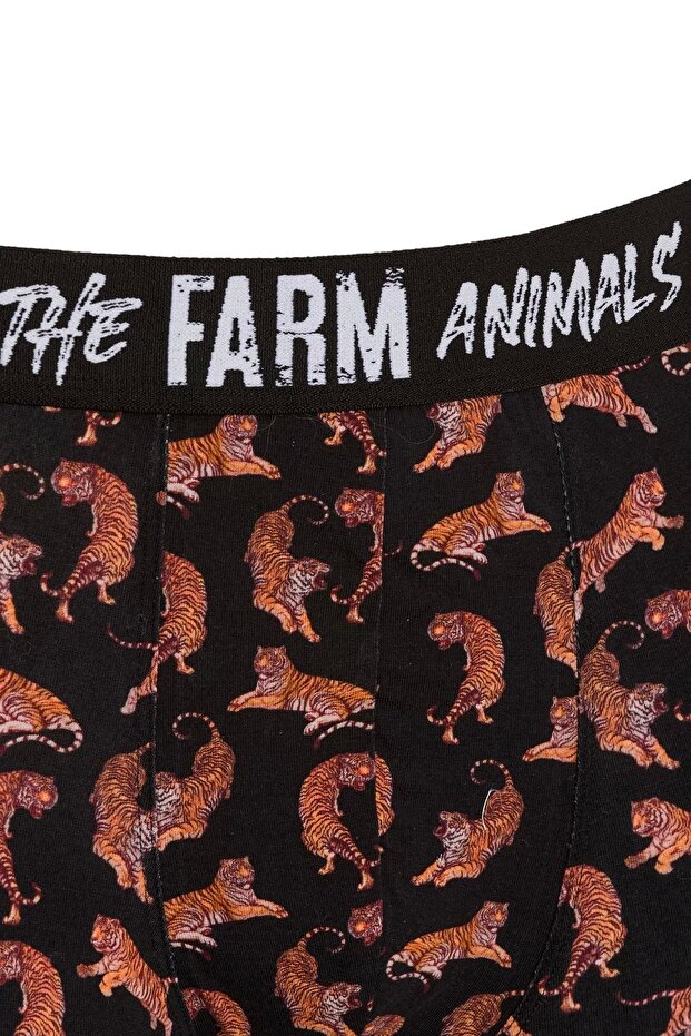 النمور منقوشة الملاكم - 3