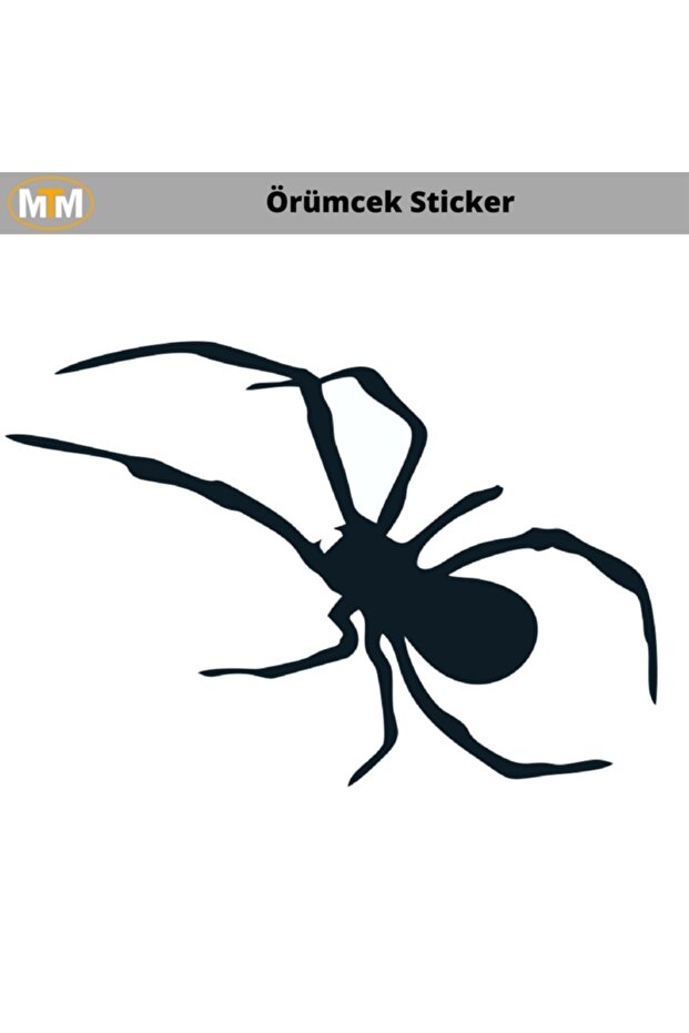 Örümcek oto Sticker 15 Cm