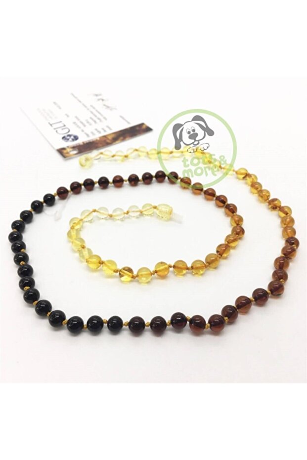 Gradient Amber Necklace - Full Round Cut, Mother and Father (Large) Size, Original Official Glt Certified