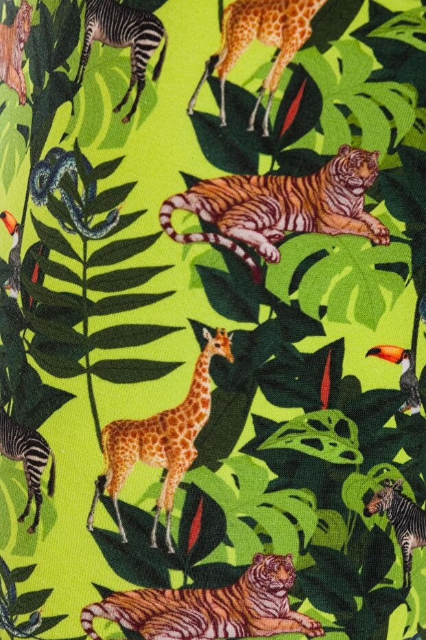 الملاكمين الاستوائية منقوشة - 4