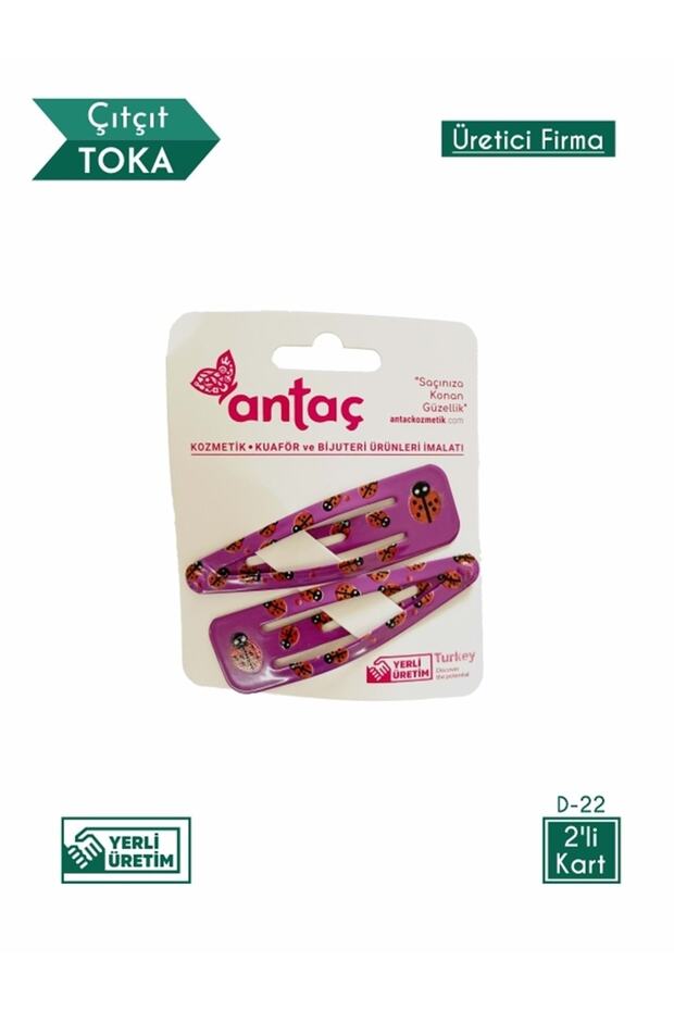 Ladybug Patterned Snap Hair Clip Set of 2 - 1