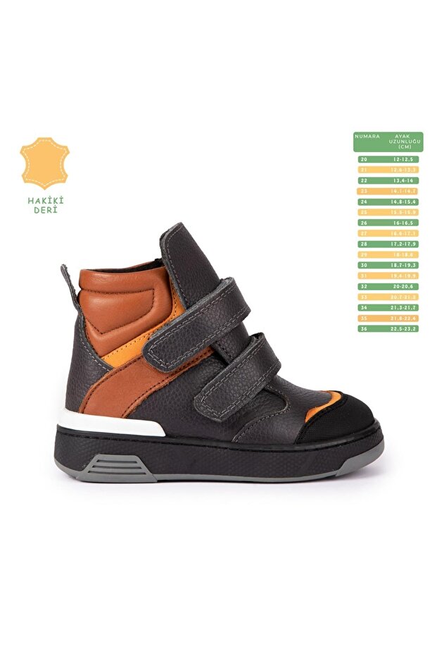 Crocodile Grey Bot - 1