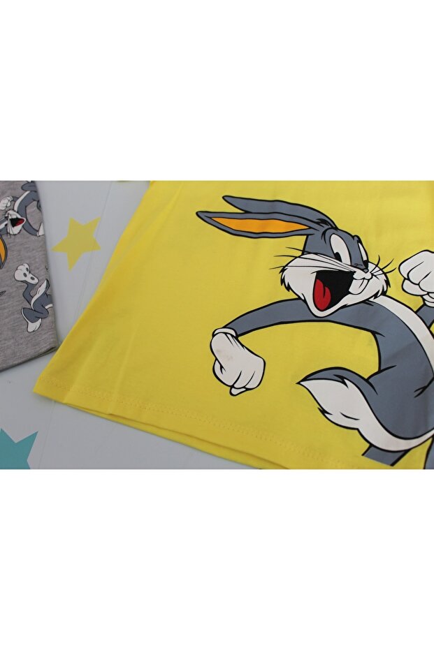 طقم صيفي مطبوع عليه باغز باني - 2