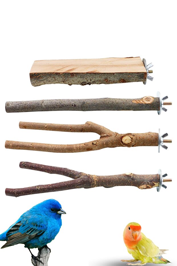 4 Pack Natural Wooden Bird Perch Parrot Stand Branches Fork Toys