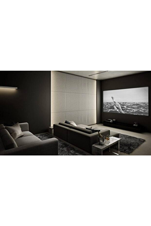 Projectura 1,25 Lt - 4