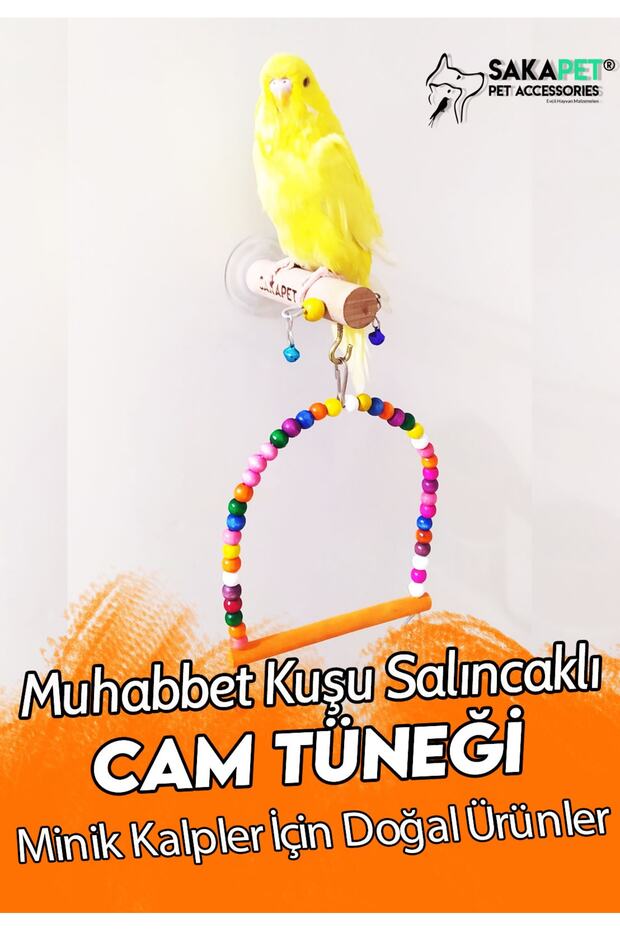 وعاء زجاجي متأرجح مع كوب شفط