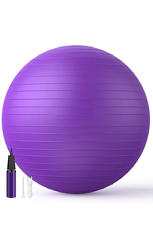 65 Cm Luxury Pilates Ball and Bidirectional Pump Set Quality Material Yoga Exercise Ball