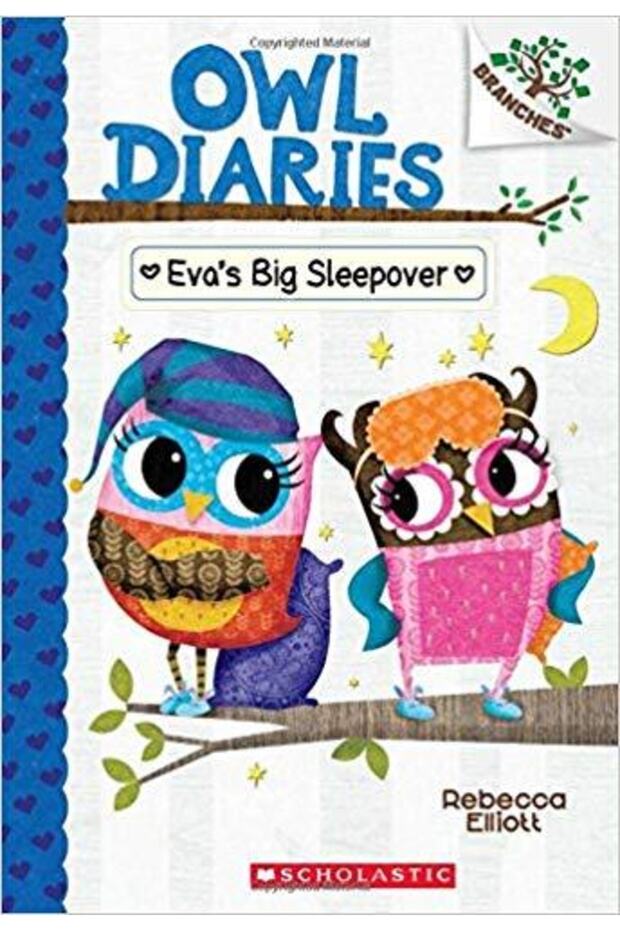 Owl Diaries 9: Eva's Big Sleepover