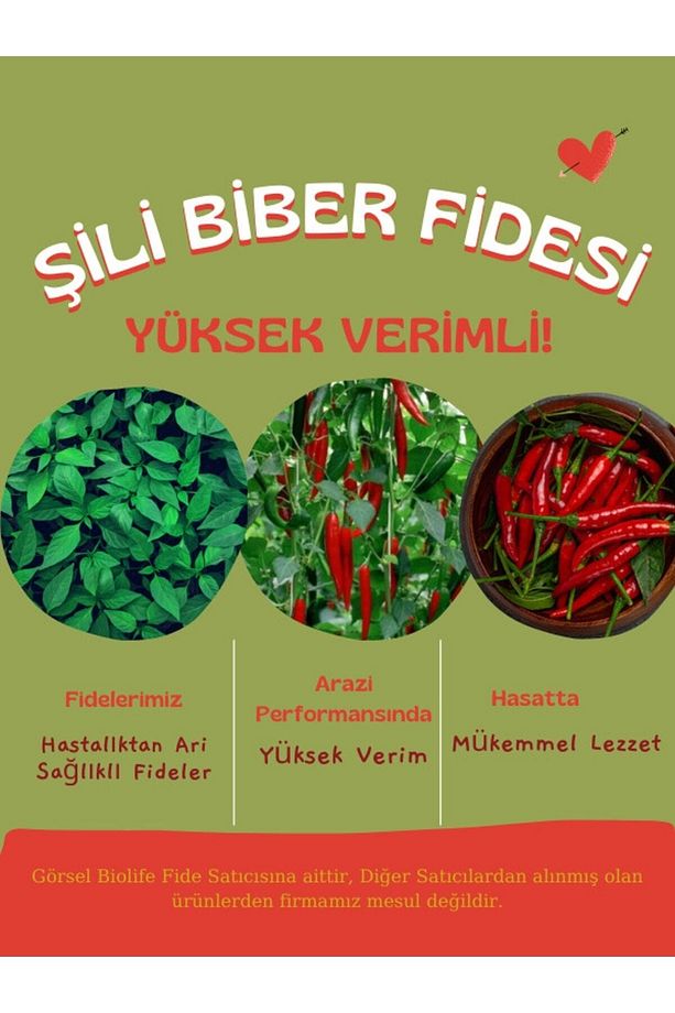 Şili Biber Fidesi Kırmızı Yerli Tohum 10 Adet, Mor Cin Biber Fidesi 1 Adet - 1