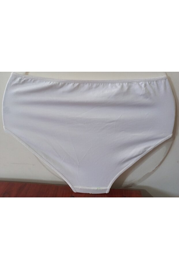 Plus Size Underpants - 3