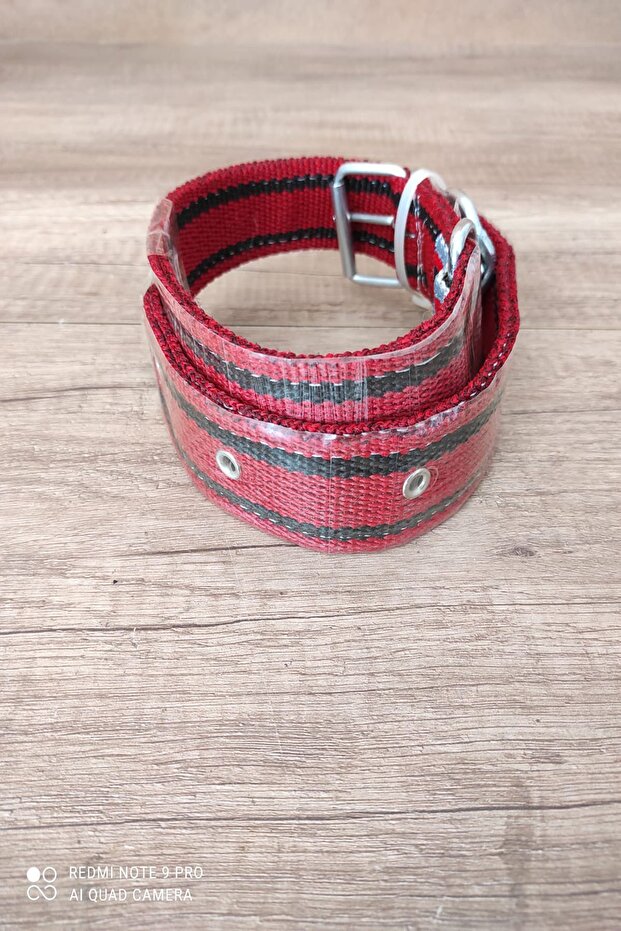 طوق كلب متوسط الحجم - 2