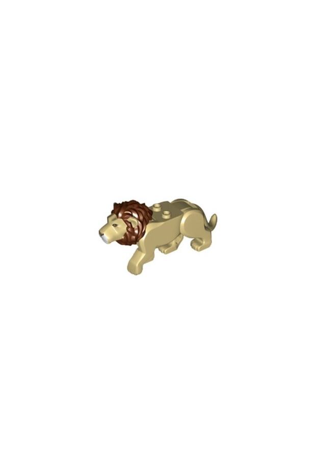 Orjinal Aslan Lion Cat - 1