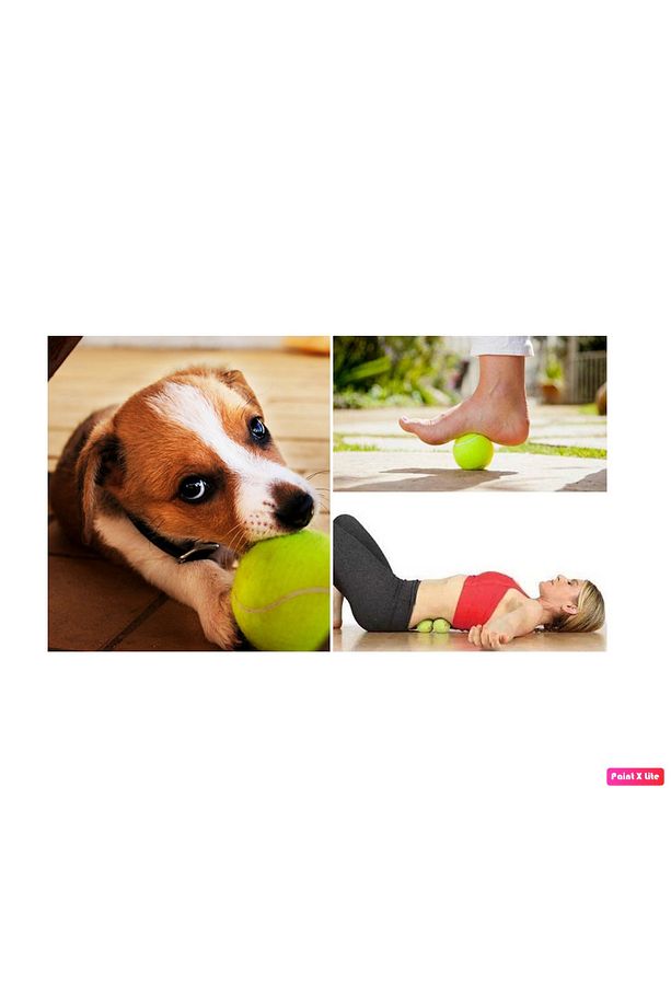 Tt-400 12 Adet Taşınabilir Filede Renkli Tenis Topu / Köpek Oyuncağı - 4