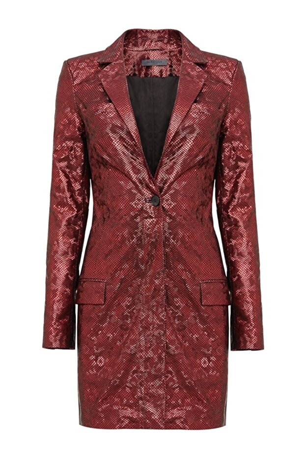 Parlak Deri Elbise - 2