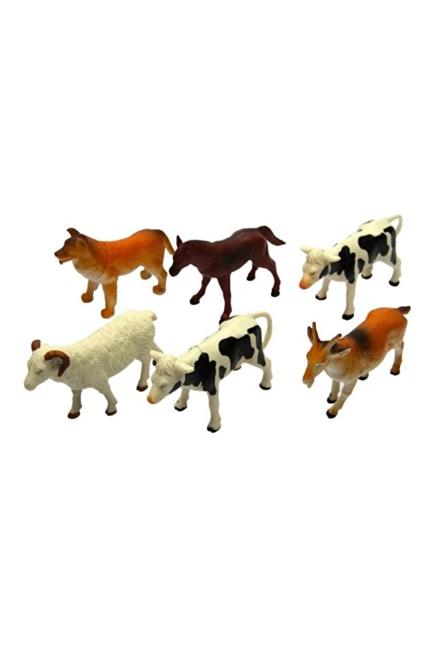 Çiftlik Hayvanları - 1