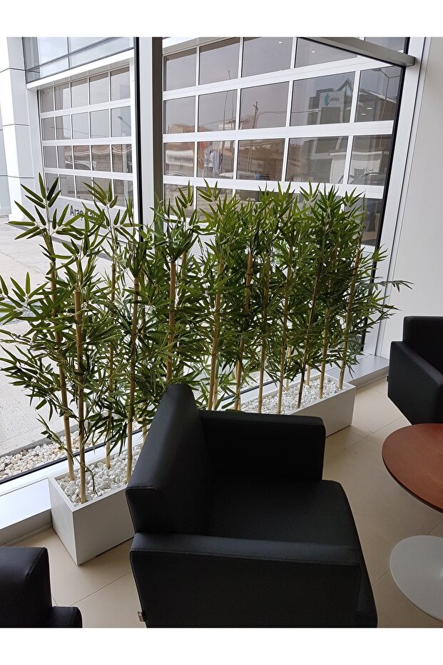 Bamabu Paravan Seperatör - 1