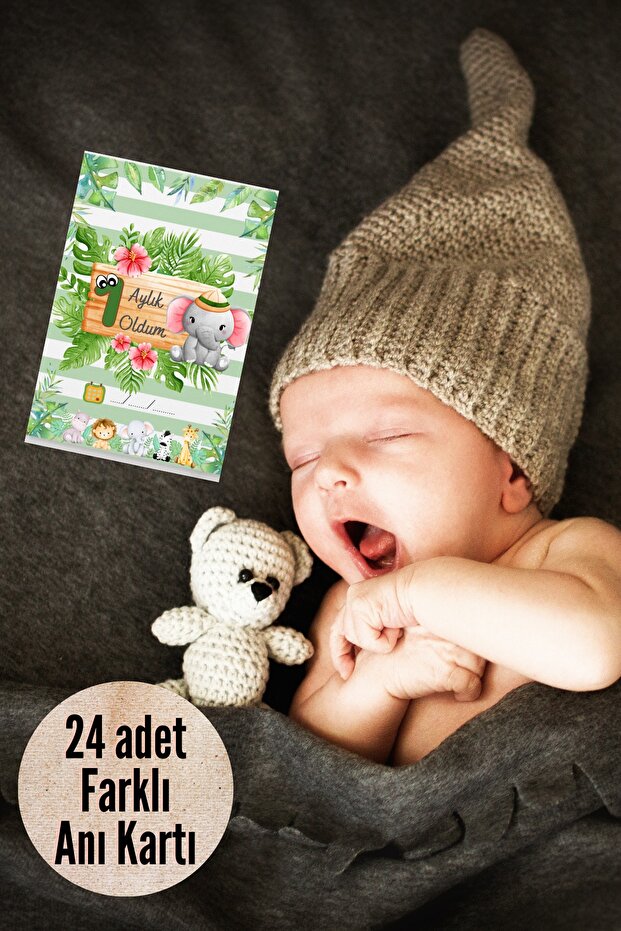 Safari Baby Boy Memory Cards 24 Pieces