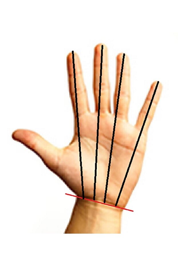 1 جبيرة الزناد القابلة للتعديل - 4