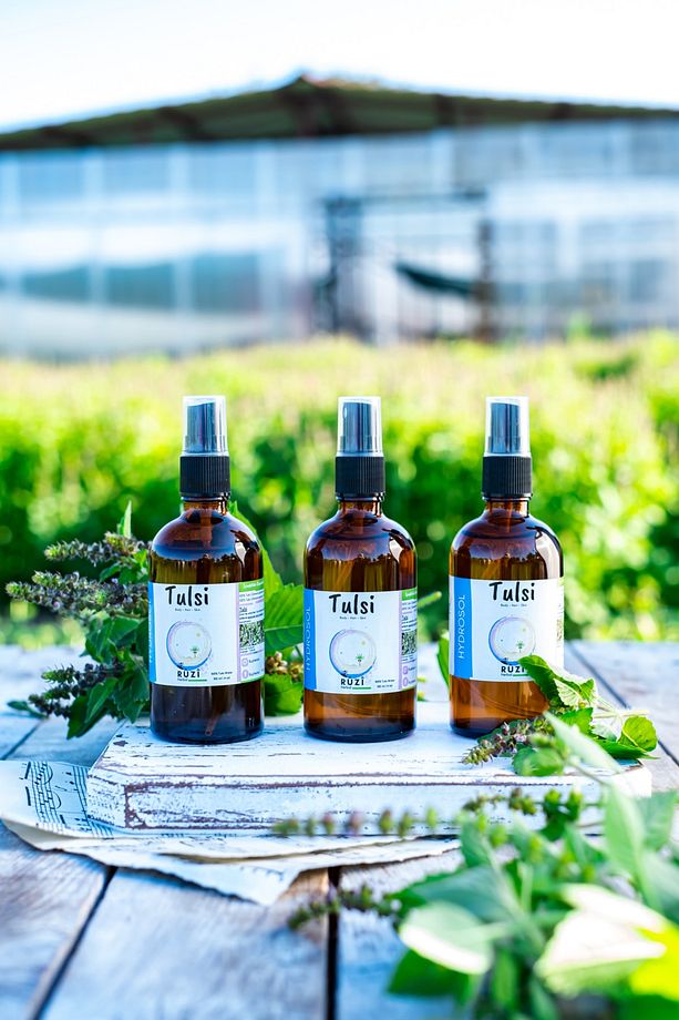 Tulsi (HİNT FESLEĞENİ) Hidrosolü 100 ml | | - 1