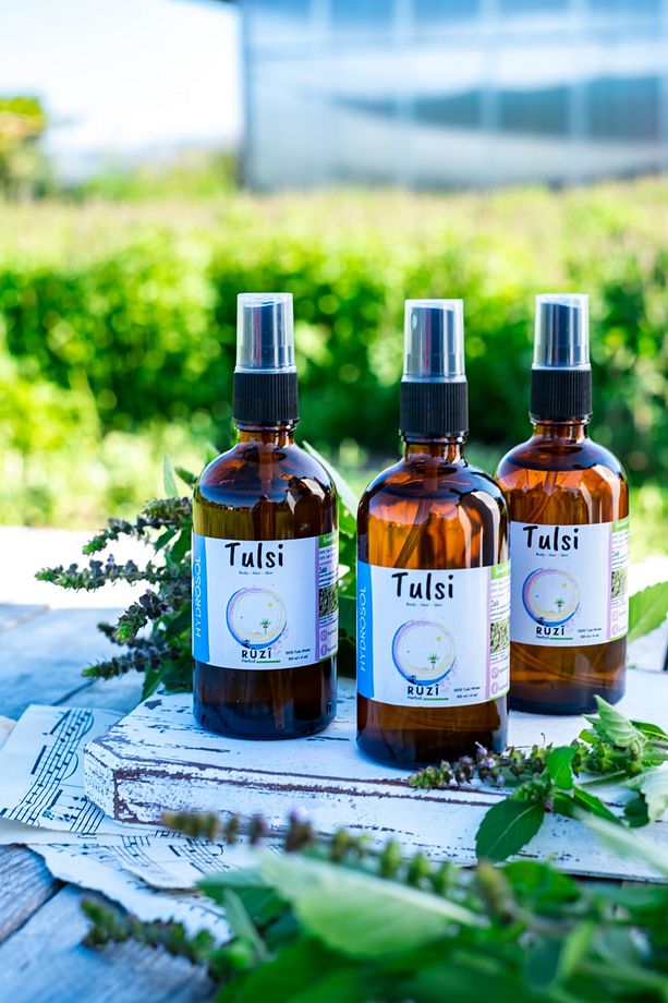 Tulsi (HİNT FESLEĞENİ) Hidrosolü 100 ml | | - 2