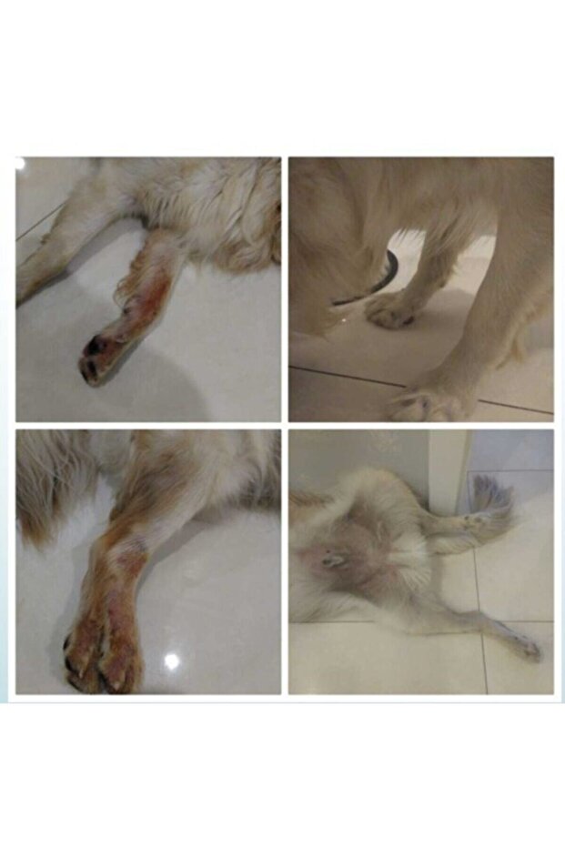 Multiway Animal Clean Sprey 500 ml - 3