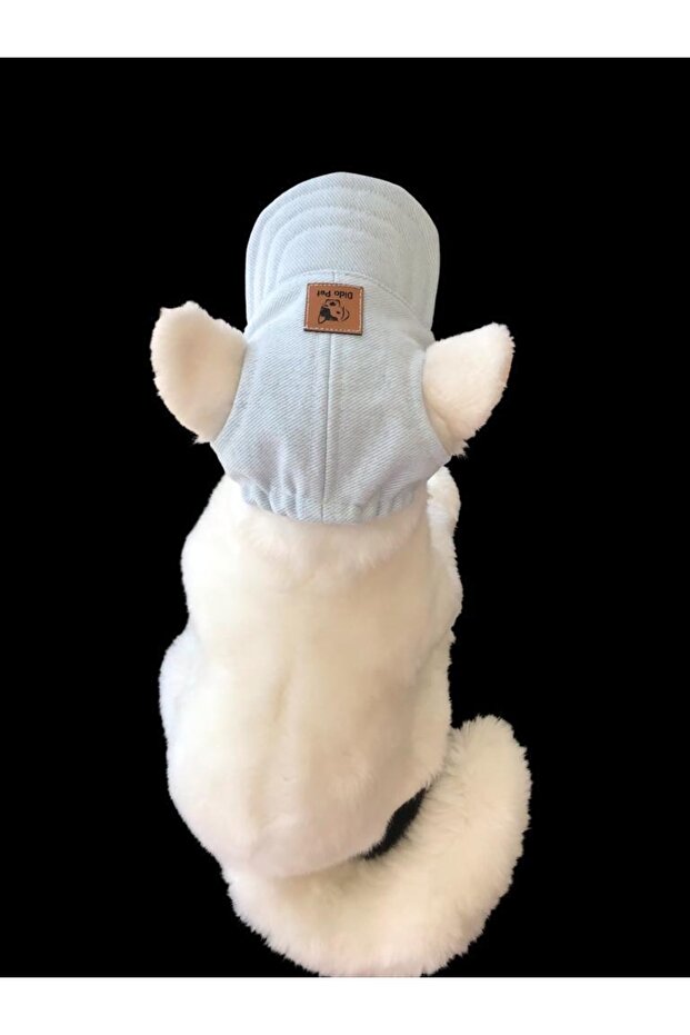 Köpek Şapkası - 3
