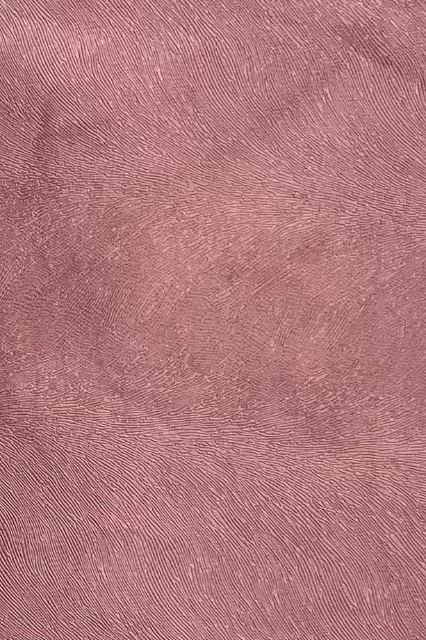 Tay Tüyü Premium Döşemelik Kumaş Taytüyü Gül Kurusu - 1