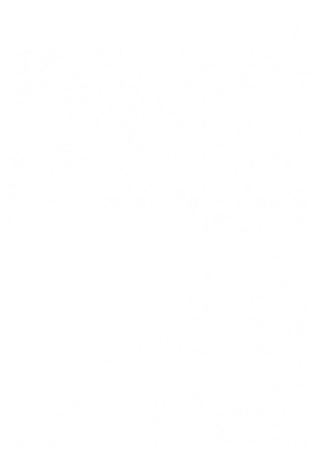 Stick 22 gr 1 Adet - 2