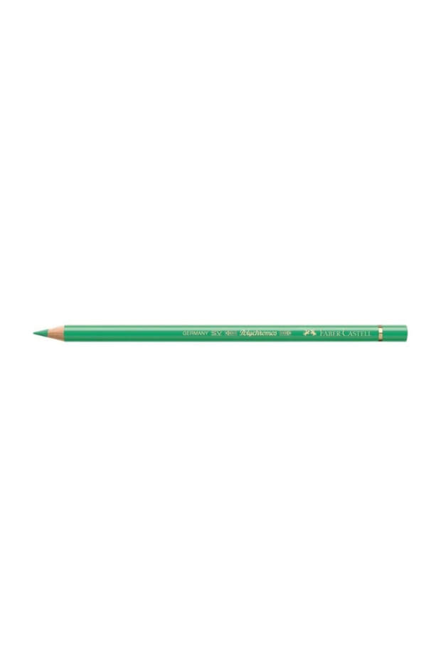 قلم طلاء جاف للفنانين من Polychromos 162 أخضر فاتح (أخضر فاتح)