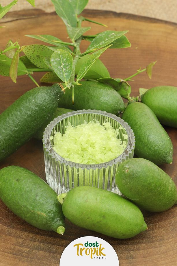 | Finger Lime Limonu - Yeşil Havyar Limonu (5 Adet 125 - 150 gr) - 1