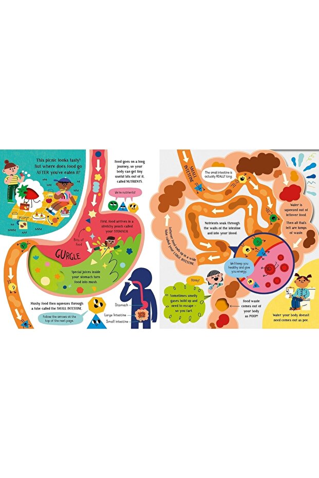 Step Inside Science: Your Body - 4