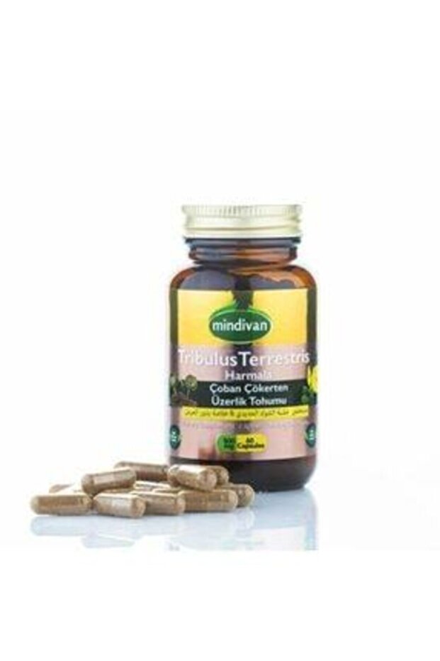 Çoban Çökerten Üzerlik Tohumlu 60 Bitkisel Kapsül - 2