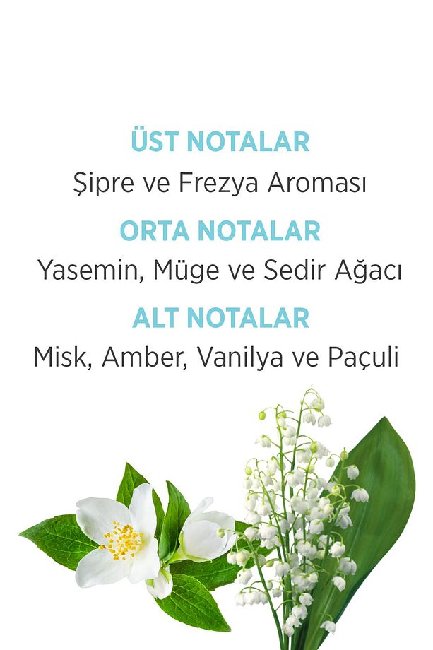 Ocean Fresh Parfüm Edt 50 ml + Deodorant 150 ml + Arko Krem Kadın Parfüm Seti 507730-H - 4