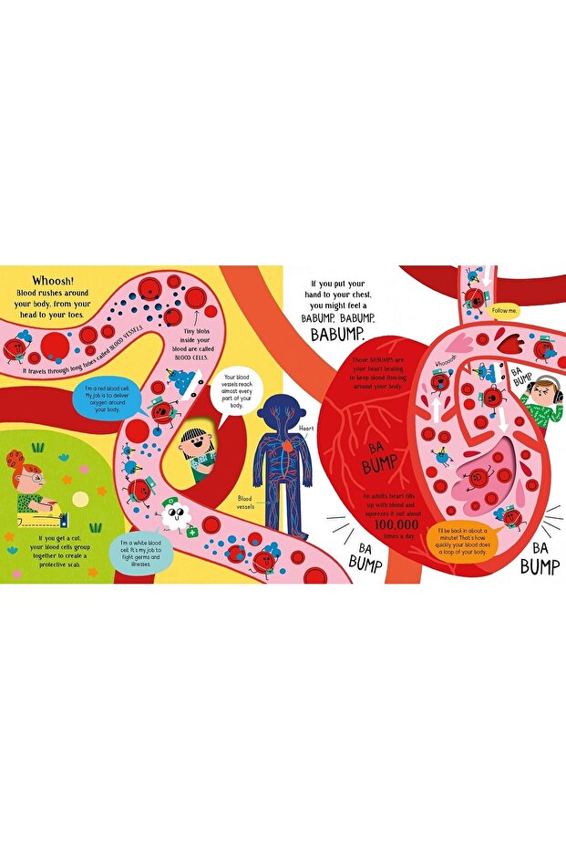 Step Inside Science: Your Body - 3