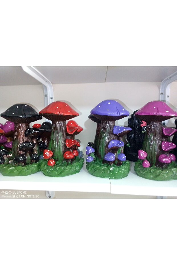 Mantar Geri Akış Tütsülük - 1