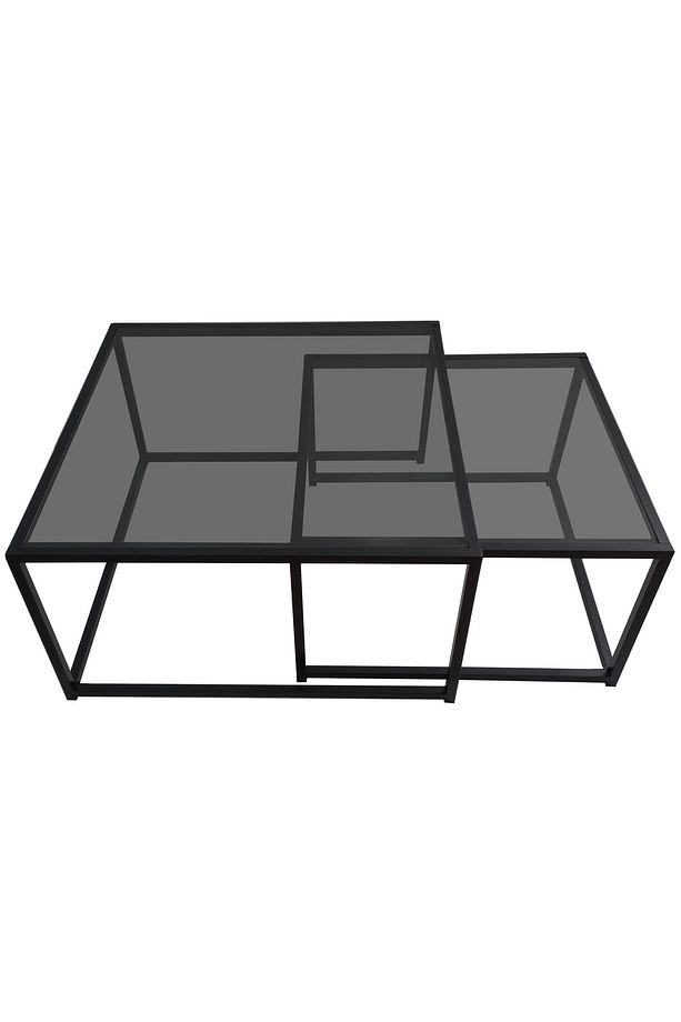 Füme Çift Camlı - Çift Orta Sehpa Yavrulu - 4