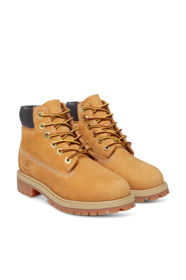 6 In Premium WP Boot - 2