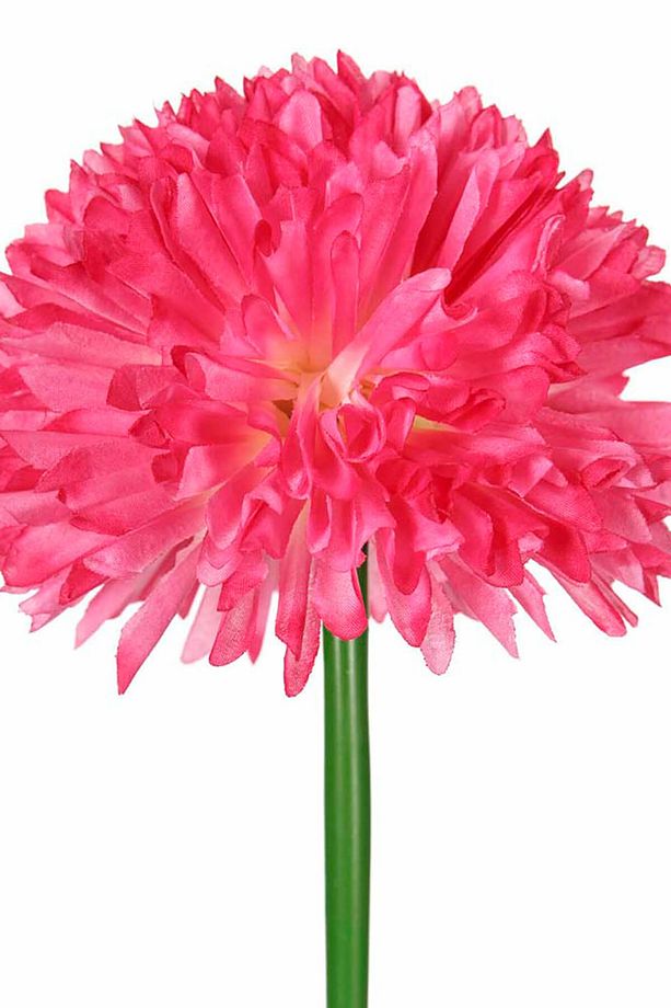 Koyu Pembe Uzun Saplı Kadife Çiçeği AK.BG0120-KP - 2