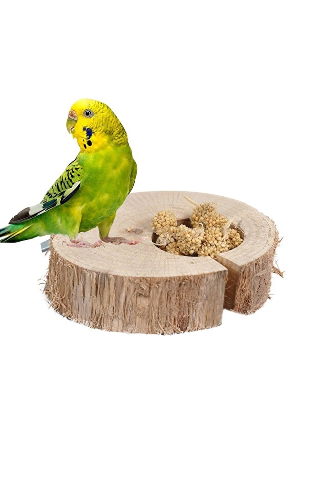 Natural Wood Bird Holder and Millet Feeding - Crackle
