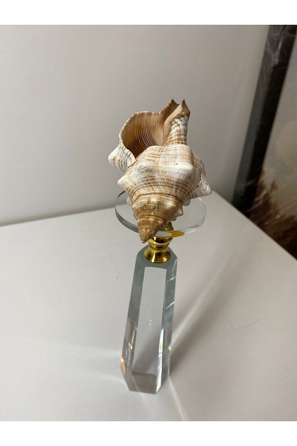 Trapezium Deniz Kabuğu Biblo Kristal Cam Kaide Gold Detay Ev Dekorasyon Objesi - 8