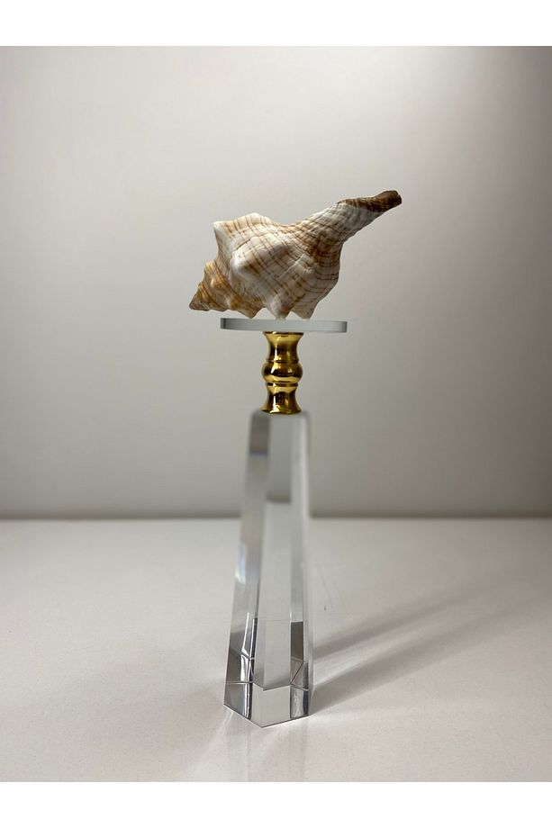 Trapezium Deniz Kabuğu Biblo Kristal Cam Kaide Gold Detay Ev Dekorasyon Objesi - 1