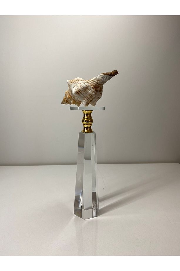 Trapezium Deniz Kabuğu Biblo Kristal Cam Kaide Gold Detay Ev Dekorasyon Objesi - 4