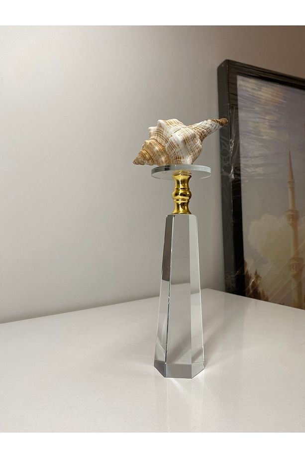 Trapezium Deniz Kabuğu Biblo Kristal Cam Kaide Gold Detay Ev Dekorasyon Objesi - 5